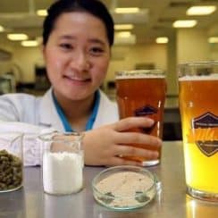 bia probiotic, tăng khả năng miễn dịch