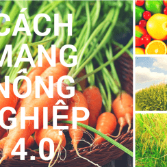 nông nghiệp 4.0 là gì