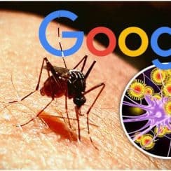 Verily, MosquitoMate, muỗi truyền bệnh, muỗi vô sinh, sốt xuất huyết, Zika, sốt vàng da