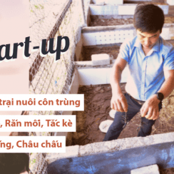 nuôi bọ cạp, nuôi rắn mối, nuôi châu chấu, nuôi tắc kè, bọ cạp, rắn mối, châu chấu, tắc kè