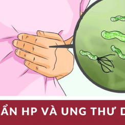 vi khuẩn HP và ung thư dạ dày, vi khuẩn hp lây qua đường nào, vi khuẩn hp sống được bao lâu