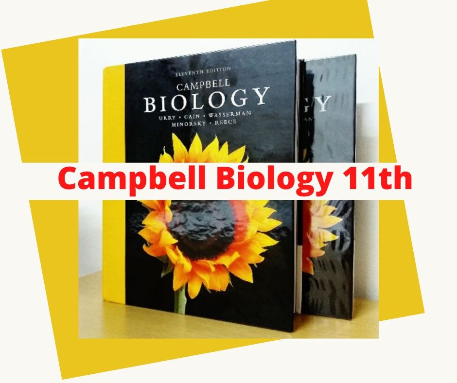 Full] Ebook Sinh Học Campbell Biology Bản Tiếng Việt Và Tiếng Anh - Sinh  Học Online