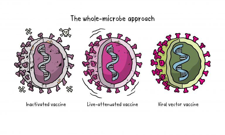 Viral vector vaccine - Sinh Học Online