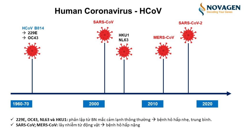 Nhóm Coronavirus gây bệnh ở người